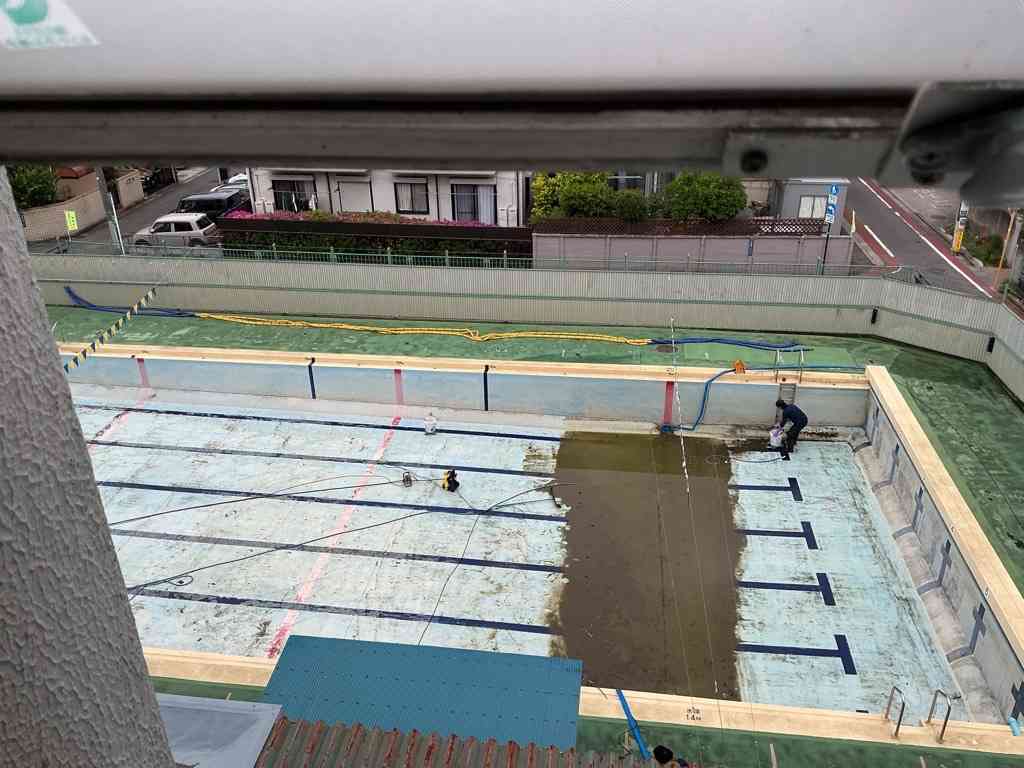 Image (1)