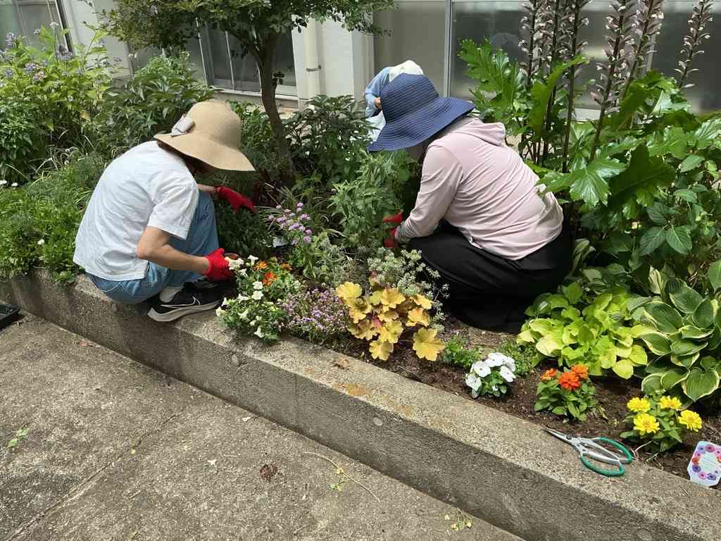 Image (1)