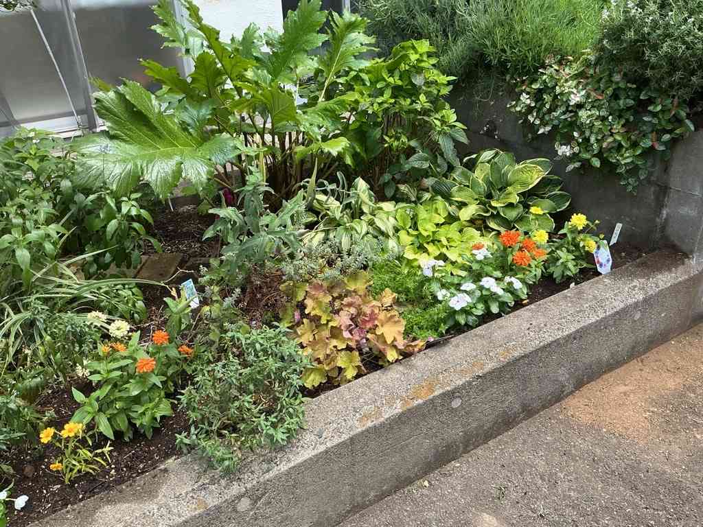 Image (3)