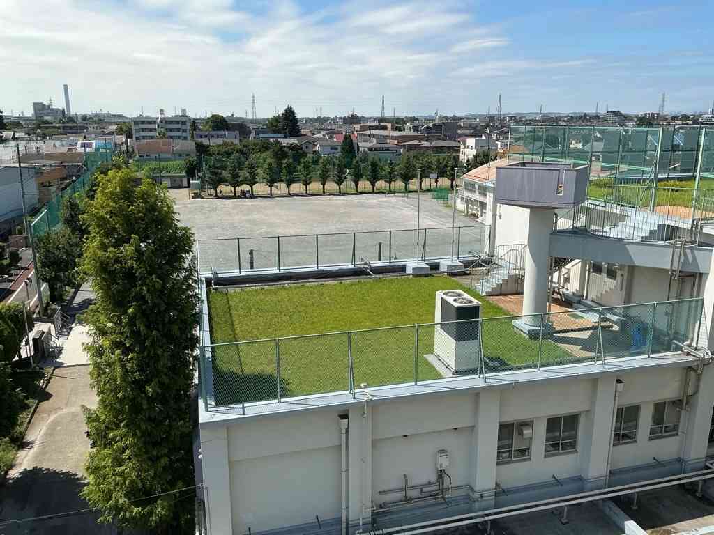 Image (2)