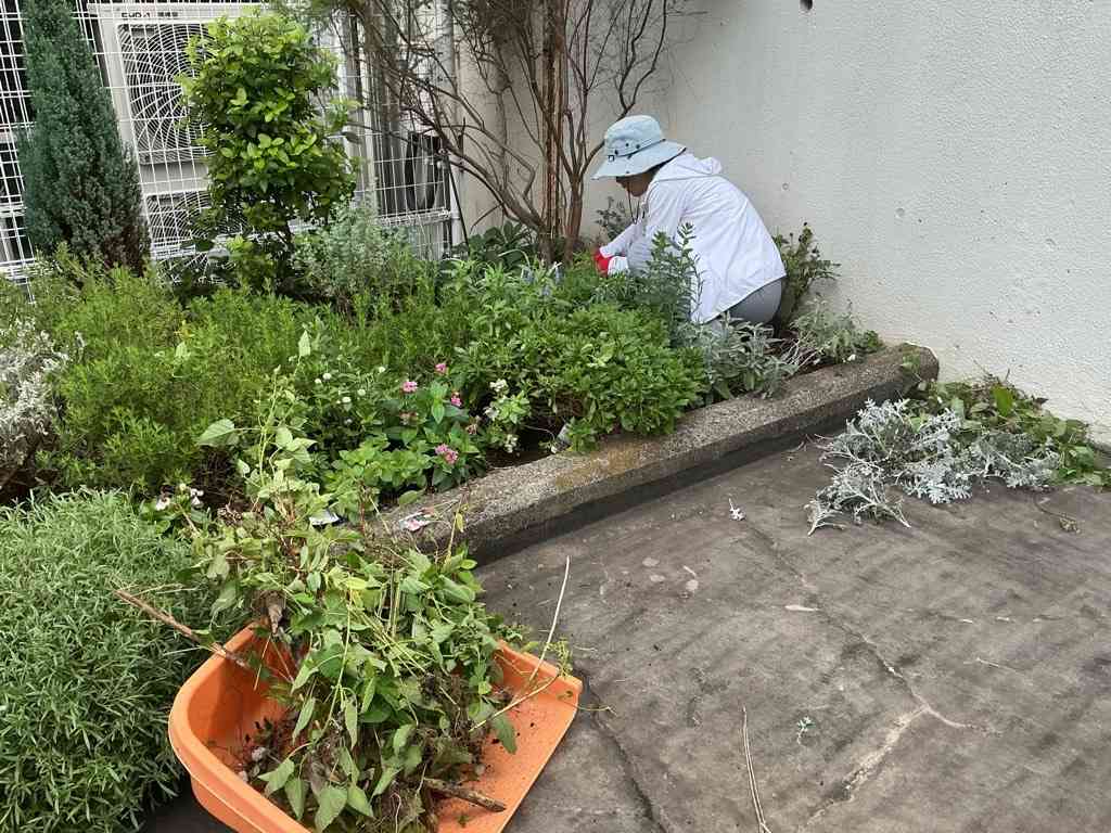 Image (1)