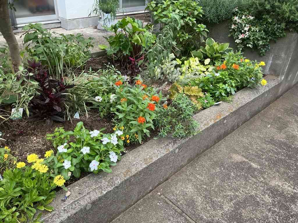 Image (2)