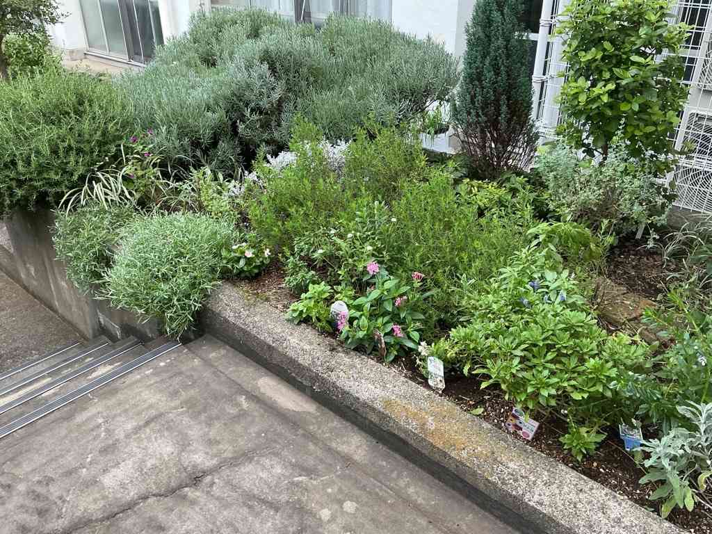 Image (3)