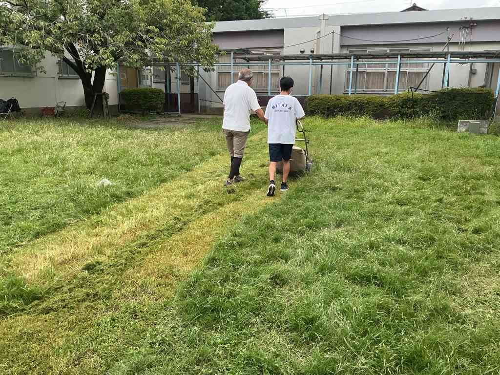 Image (12)