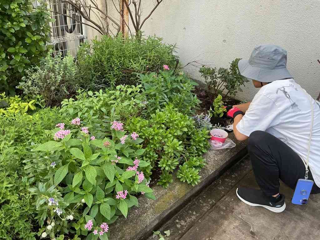 Image (1)