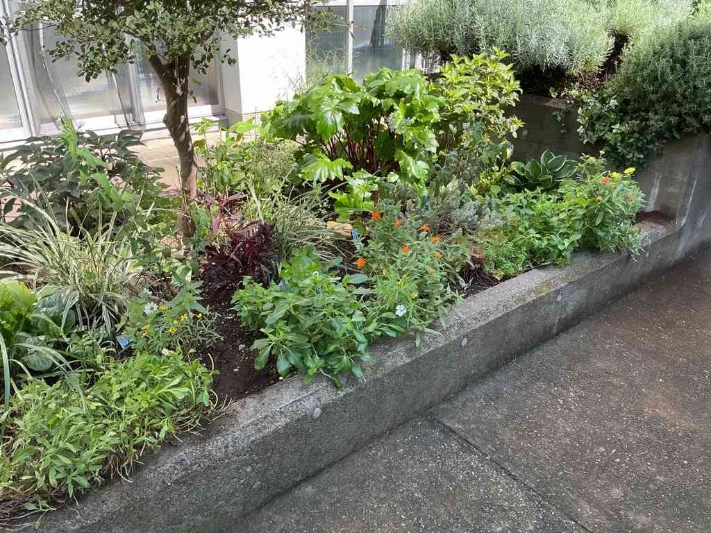 Image (3)