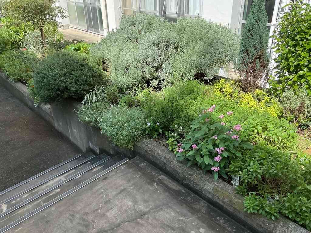 Image (4)